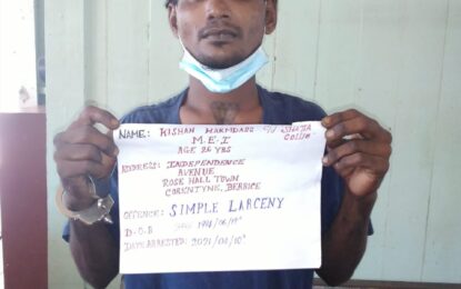 Angoy’s Avenue man sentenced to 15 months imprisonment for simple larceny