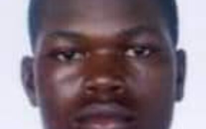 Brother of slain Henry teen allegedly confesses to murdering pensioner for revenge