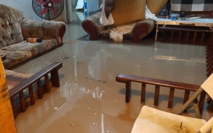 Little Diamond residents want compensation for damage due to flooding