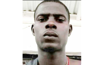 Labourer who killed man during cell phone row remanded