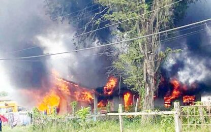 Fire destroys home of Linden family for second time in one month