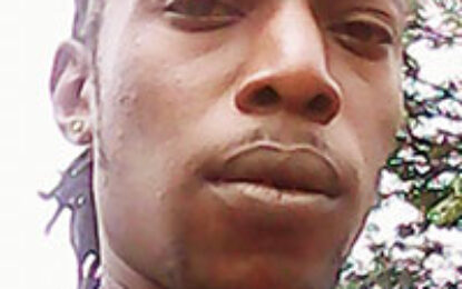 Driver killed after truck topples on hill