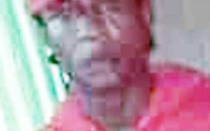 Man stabbed to death over cellphone row