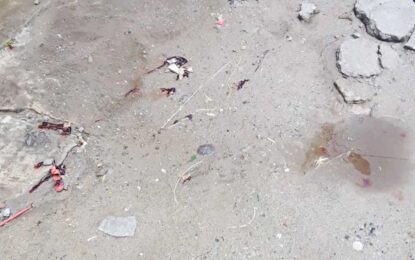 Man killed trying to ‘put out’ wife