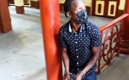 Carpenter who robbed woman of $800 placed on $100,000 bail