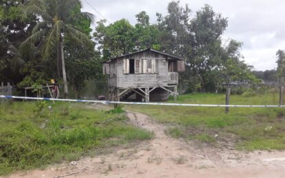 Uncle and nephew allegedly chop each other to death at Three Friends Mines