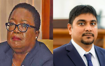 Myers sues lawyer, Newsroom for defamation over 2020 elections