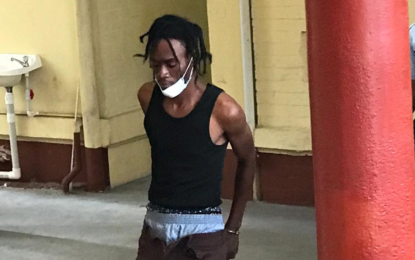 Man gets 10 months after telling Magistrate “I’m guilty, that’s it”