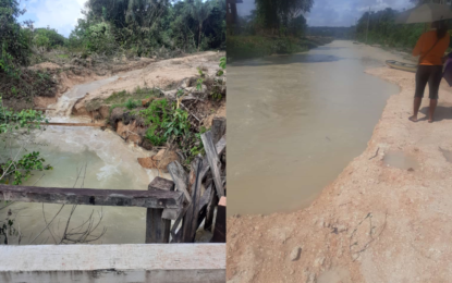 Bosai distances self from flooding in Region 10
