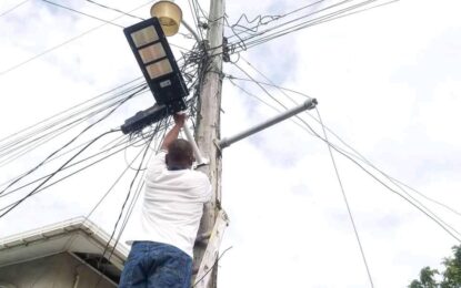 Dozens of solar lights donated and installed in Rose Hall stolen