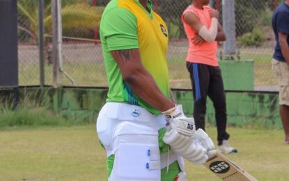 ‘Team balance & performance in last series factors for Hetymer’s non-selection’ says Harper
