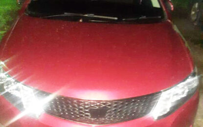 Woman arrested after car abandoned during police chase