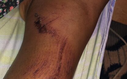 House thief attempted to rape student on second break-in