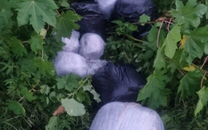 Suspects leave $10M in ganja behind to escape CANU ranks