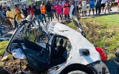 One dead, four injured in Stewartville accident