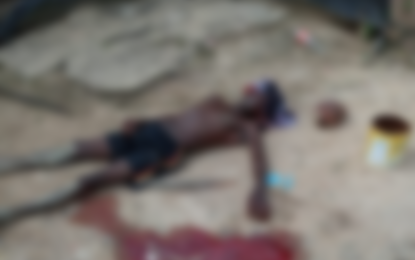 Ex-inmate murders uncle over plantains