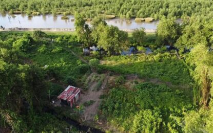 Police destroy ganja farm