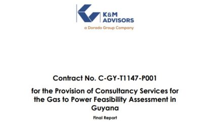 Private investors approach would drive up cost – 2019 IDB Report