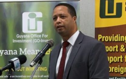 Verwey elected head of the GSA