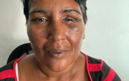 Probe launched after cop allegedly assaults female