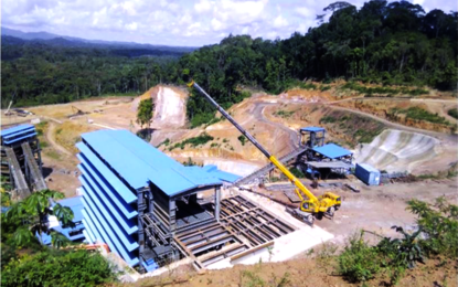 Manganese workers will be in danger of serious neurological illnesses – company’s EIA Report