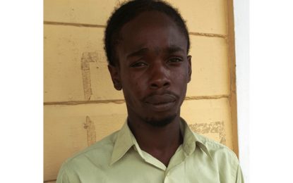 Harding fails in bid to have lawsuit against State for baton-rape restored