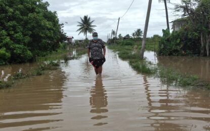67 cases of Dengue, 5 Leptospirosis recorded in Region Six. -Regional Chairman