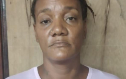 Woman faints after magistrate remands her, others for son-in-law’s death