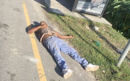 Body of unidentified man found in Vreed-en-Hoop