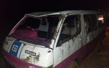 Driver flees after crashing bus