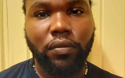 Alleged attempted executioner remanded