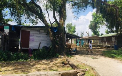 After 20 years, ‘temporary’ residents still living in Tucville Big Yard