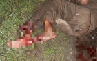 Driver turns himself in after abandoning elderly pedestrian in hit-and-run accident