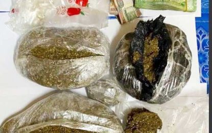 Shopkeeper nabbed for trafficking marijuana, meth