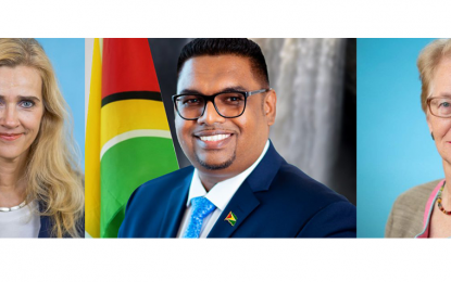 Pres. Ali and German diplomats discuss enhancement of bilateral relations