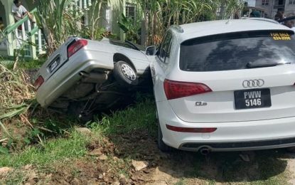 Woman pursued bandits despite shots being fired at her