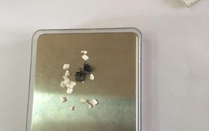 “I was only trying to take home food for my son”