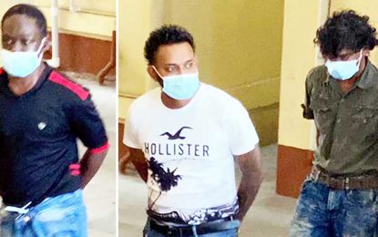 Employees placed on bail for stealing sardines, coconut milk