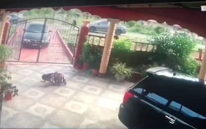 Alert girl, 6, saves mom’s life in brutal knife attack