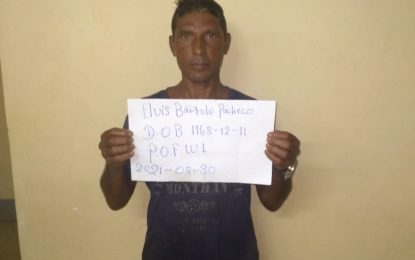 Venezuelan held with illegal guns near Black Banana