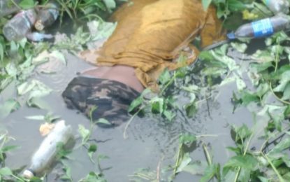 Three bodies found at separate locations