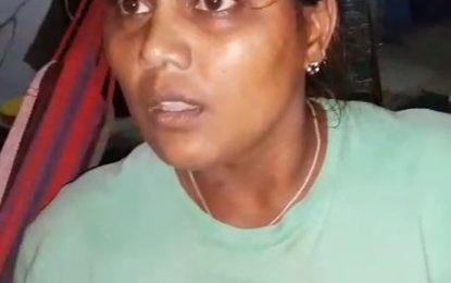 Woman assaults cops who tried to stop music