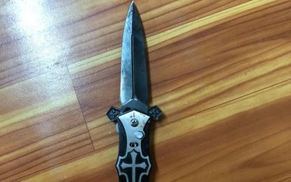 Man in custody for stabbing brother to death