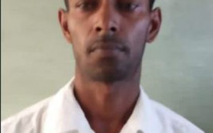 $50k bail for man who allegedly hammered labourer to head