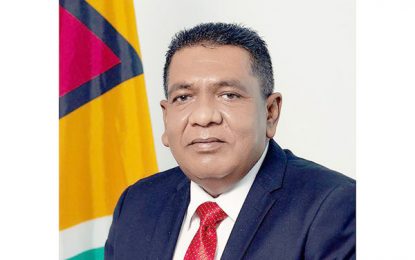 La Harmonie residents to soon benefit from immediate drainage works, household solar units – Agri. Minister