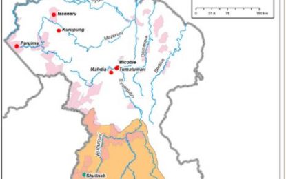 Int’l study exposes worrying levels of mercury poisoning in South Rupunini Region