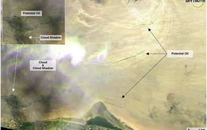 Animal Fat or Oil at Kingston Seawall? You Decide