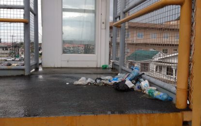 Multi-million $$$ East Bank Demerara overpasses quickly becoming white elephants