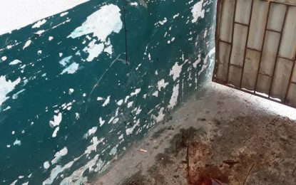 Fisherman remanded for killing at Vreed-en-Hoop Stelling