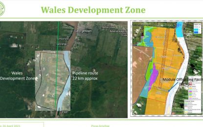 Gas plant will require US$84M cable to connect to GPL grid — Study
